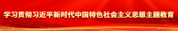 操鸡巴网学习贯彻习近平新时代中国特色社会主义思想主题教育